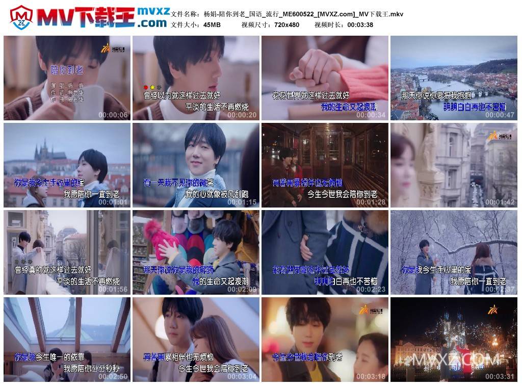 杨娟-陪你到老_国语_流行_ME600522